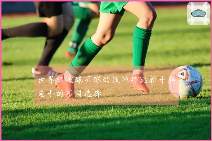 世界杯滚球买球的技巧对比新手和老手的不同选择