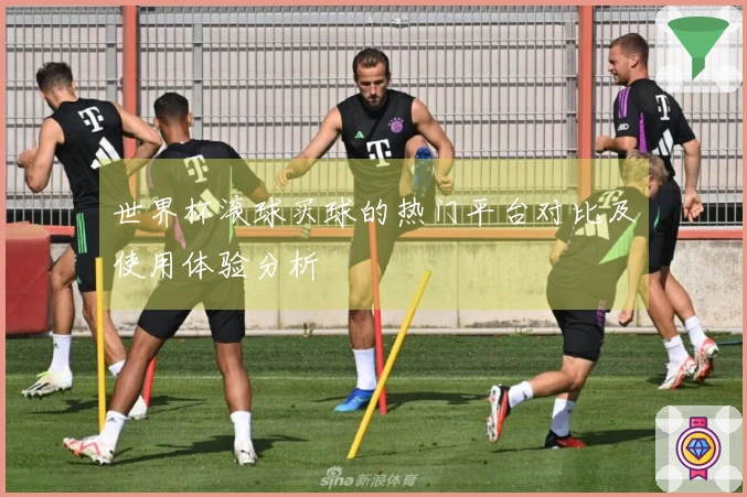 世界杯滚球买球的热门平台对比及使用体验分析