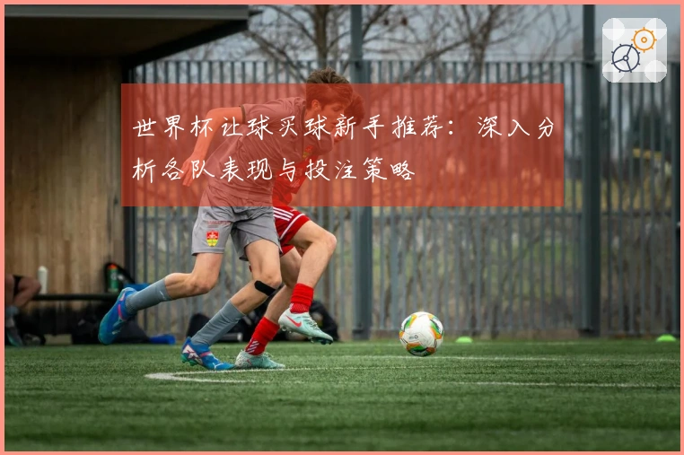 世界杯让球买球新手推荐：深入分析各队表现与投注策略