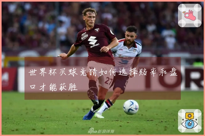 世界杯买球竞猜如何选择赔率和盘口才能获胜