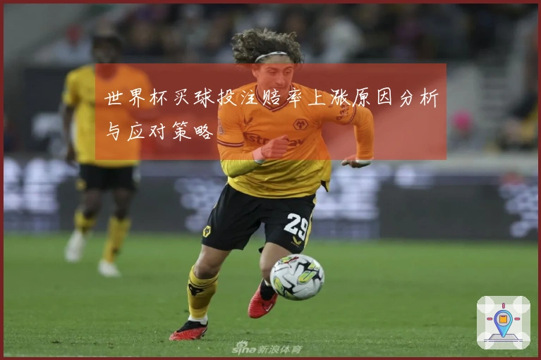 世界杯买球投注赔率上涨原因分析与应对策略